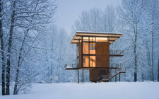 Delta Shelter